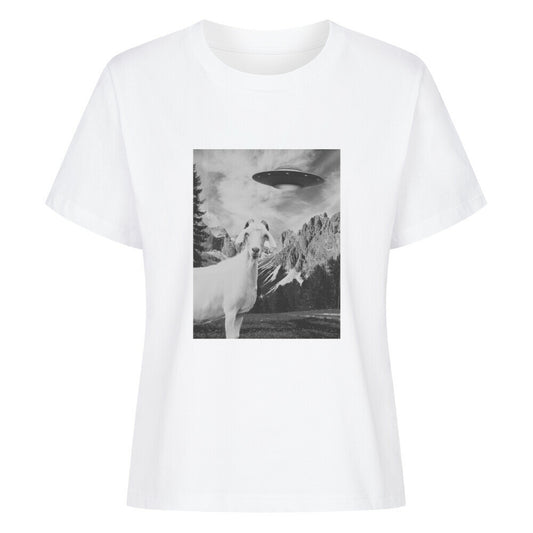 c4b387de-1a2c-45cf-a48f-2a5d783bee7d