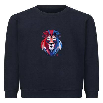 Image for color: french navy